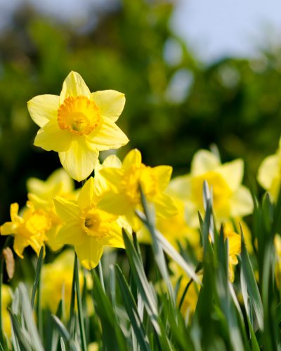 30.03. - 01.04. Osterlosaktion 2023